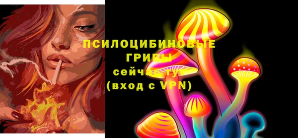 дурь Белокуриха