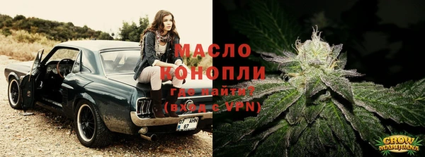 дмт Бородино