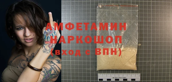дмт Бородино