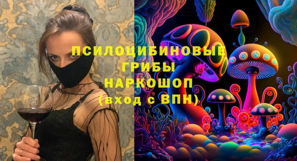 дурь Белокуриха