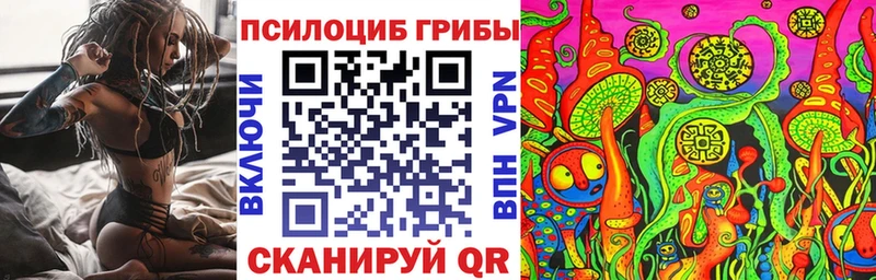 Галлюциногенные грибы GOLDEN TEACHER  Камышлов 